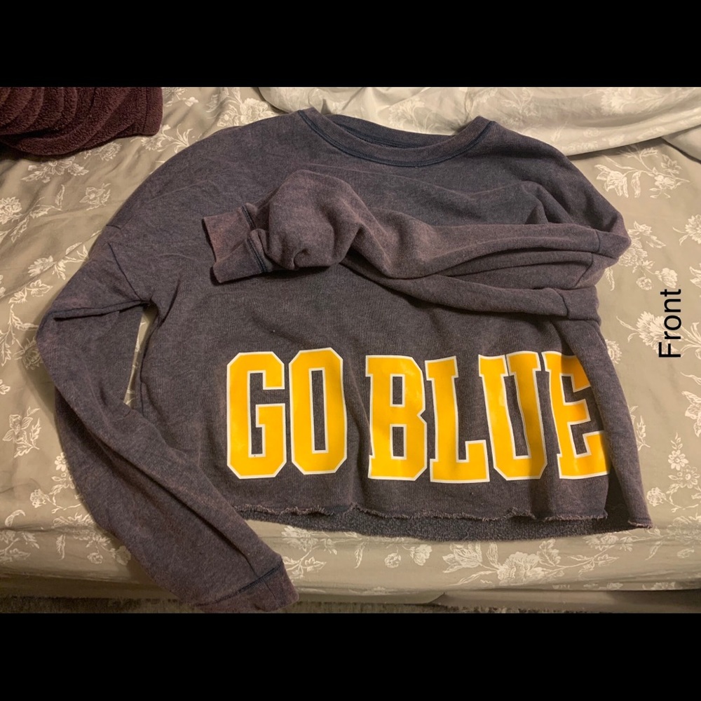 Pink Cropped U of M sweatshirt